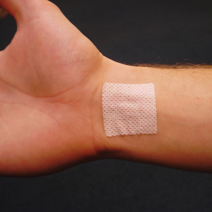 Zaca on Wrist 2-1000